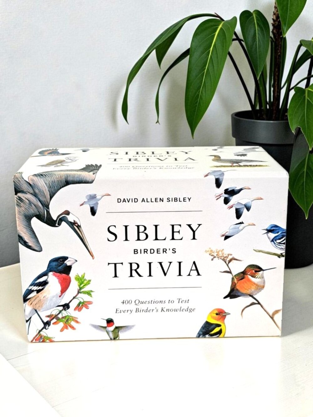 Sibley Birder's Trivia: A Card Game-illustrated game-Bird- 2 or more players-NIB